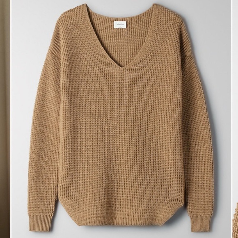 Aritzia Wolter sweater